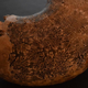 The complex sutures of an extinct ammonite.